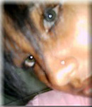 hard body Brazil girl  from Atibaia B1408