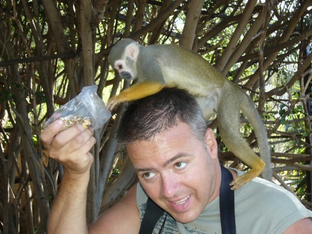 Date this pretty Dominican Republic man Johan from Jarabacoa DO1759