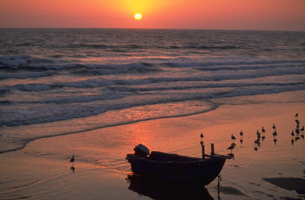 Date this funny Dominican Republic man Babyboom from Santo Domingo DO2723