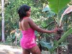 foxy Dominican Republic girl Wendy from San Cristobal DO5198
