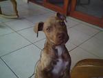 fun Colombia man  from Cali CO7099