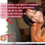 foxy Dominican Republic girl  from Ã�Â´san Francisco De Macoris DO10137