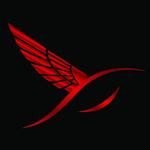 athletic United States man  from Houston US13021