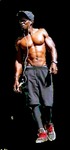 hard body United States man  from Tampa US19488